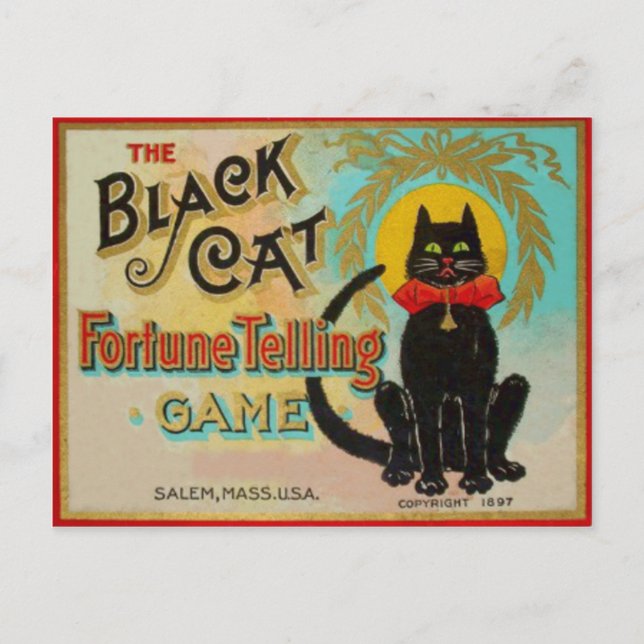 Black Cat Fortune Telling Game Postcard (Front)