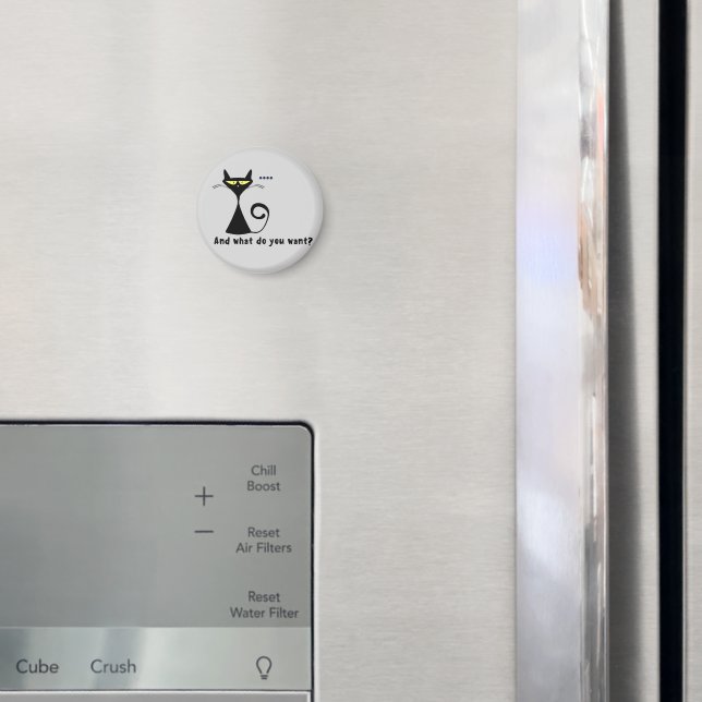 Black Cat Fridge  Magnet (In Situ (Fridge))