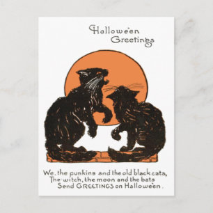 Black Cat Full Moon Orange Black Postcard