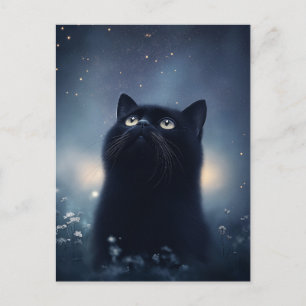 Black Cat Gazing Upward at Starry Night Sky Postcard