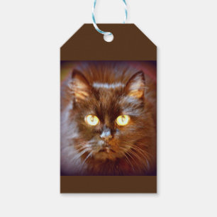 black cat gift tags