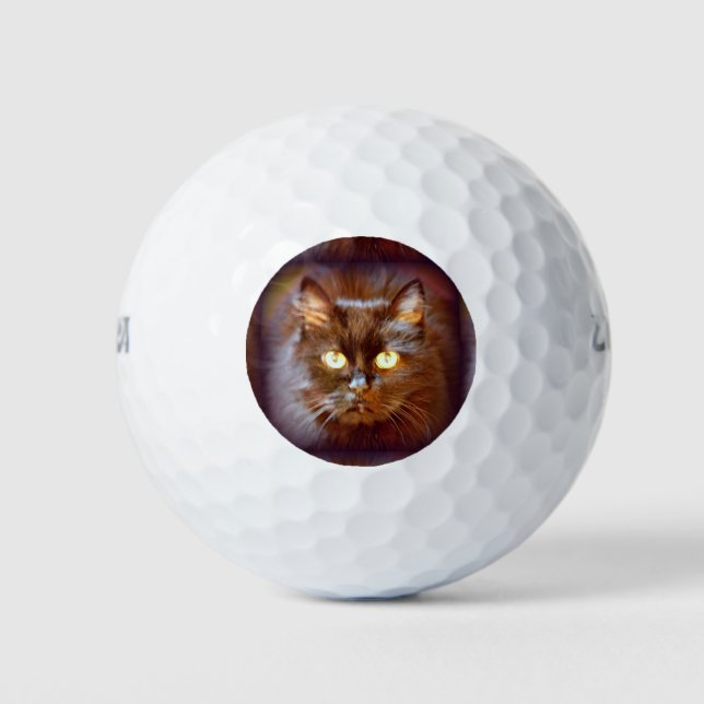 black cat golf balls (Front)