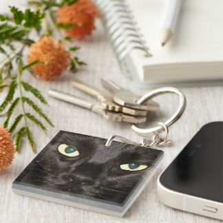 Black Cat Gorgeous Artistic Pet Portrait Key Ring