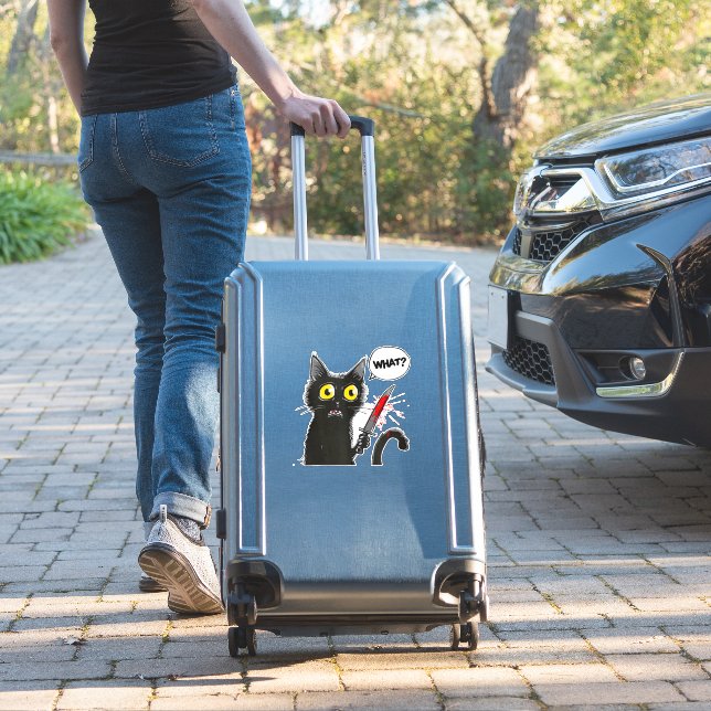Black Cat Halloween Costume Witchcraft Spider Web  (Suitcase Insitu)