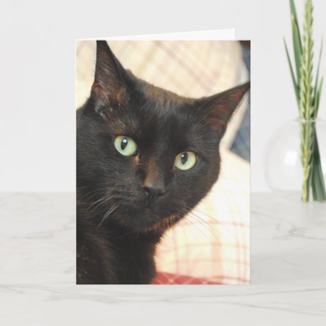 Black Cat Happy Birthday Card (Front)