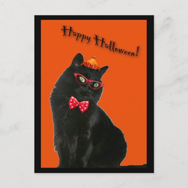 Black Cat Happy Halloween Postcard (Front)