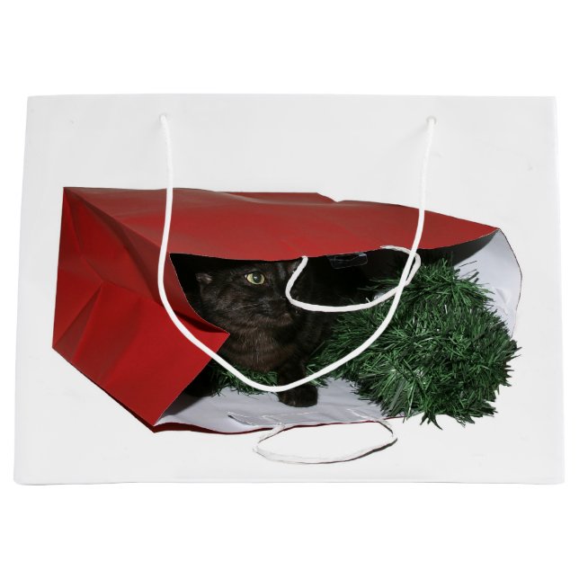 Black cat in a gift bag Christmas (Front)