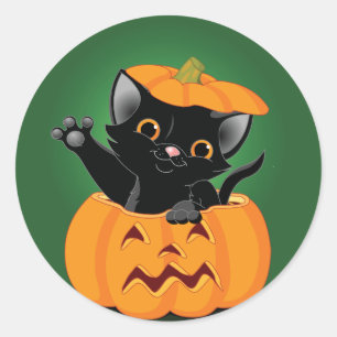 Black Cat In A Pumpkin Stickers