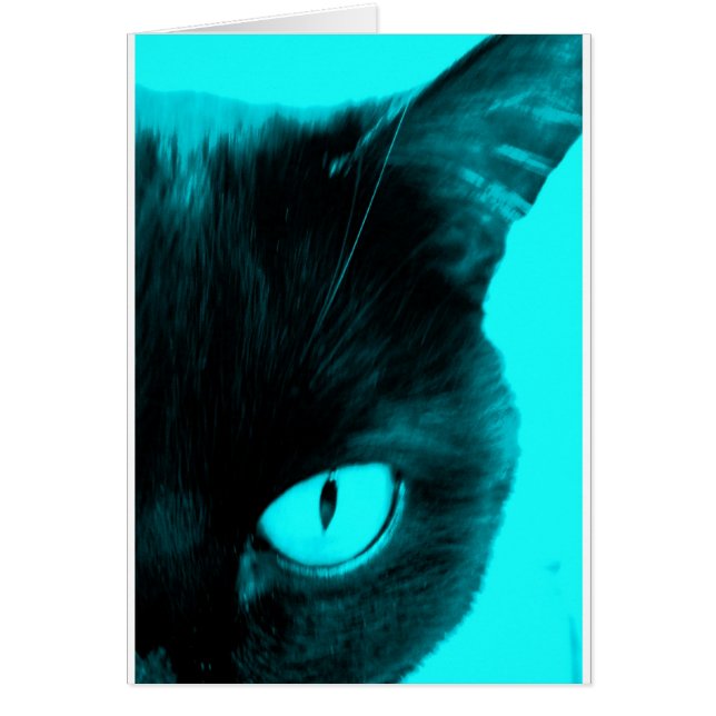 Black Cat in Blue (Front)