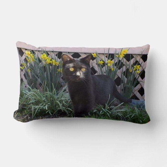 Black Cat In Daffodils Throw Pillow (Front)