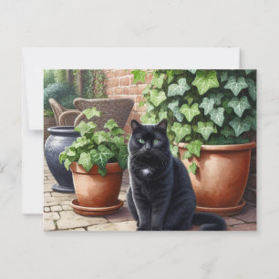 Black Cat in Garden Cat Lovers  Postcard