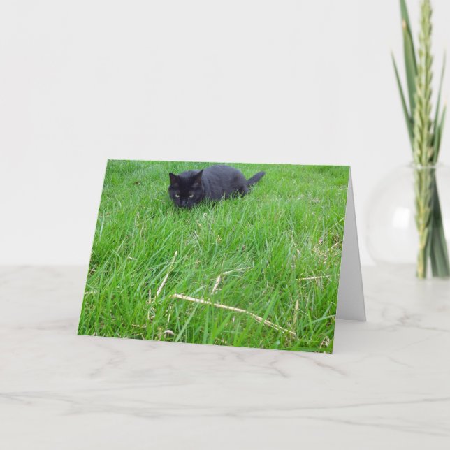 Black Cat In Grass Birthday Card (Front)