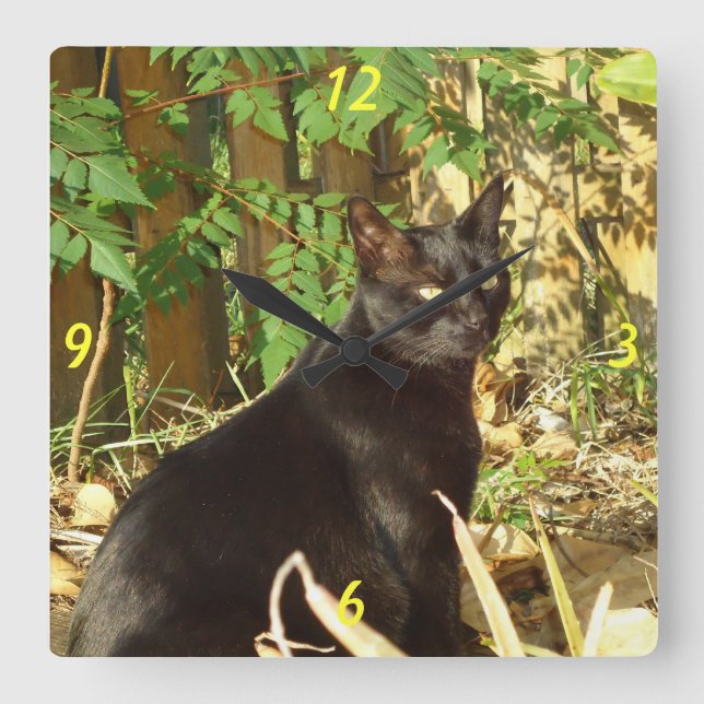 Black Cat in Morning Sun Wall Clock (Front)