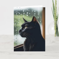 Black Cat In Rainy Window Get Well Soon 