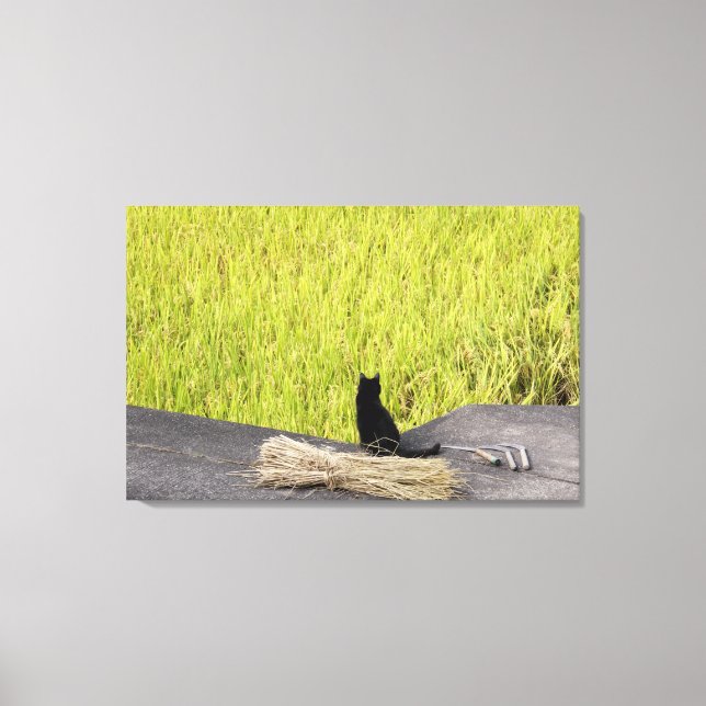 Black Cat in Rice Paddy Canvas Print (Front)