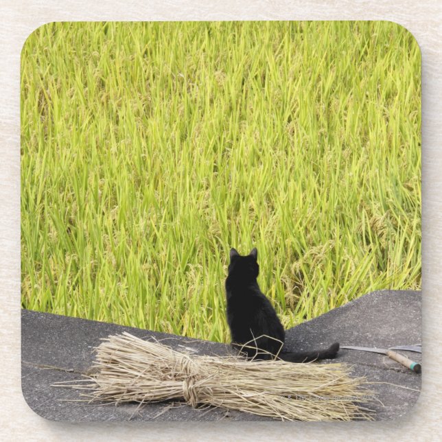 Black Cat in Rice Paddy Coaster (Front)