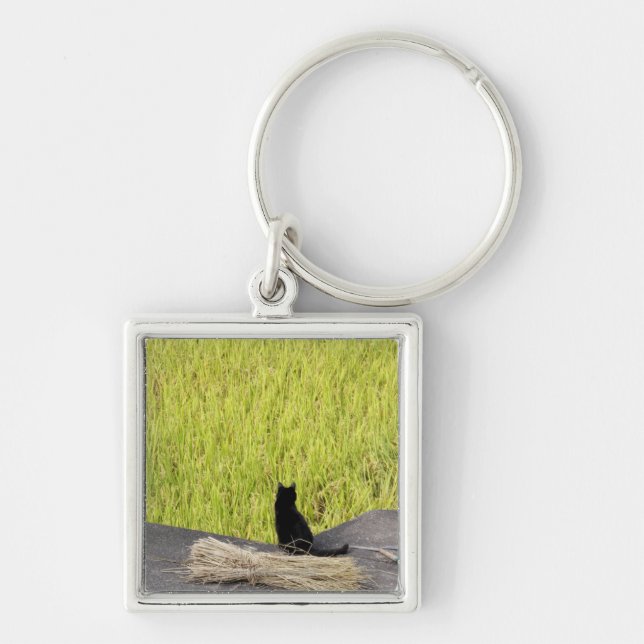 Black Cat in Rice Paddy Key Ring (Front)