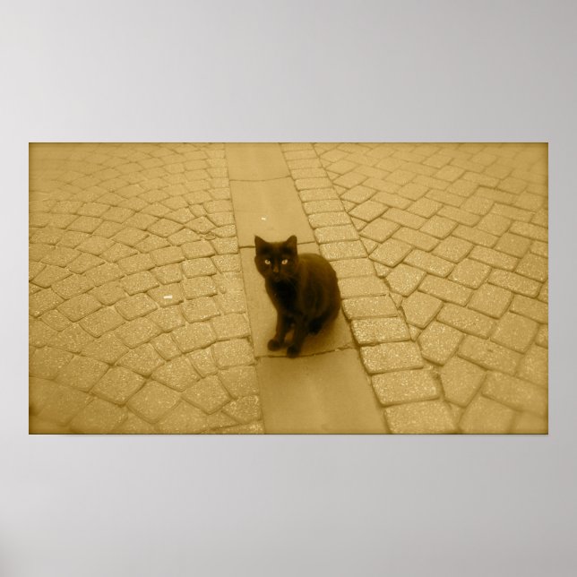 Black Cat In Sepia Poster (Front)