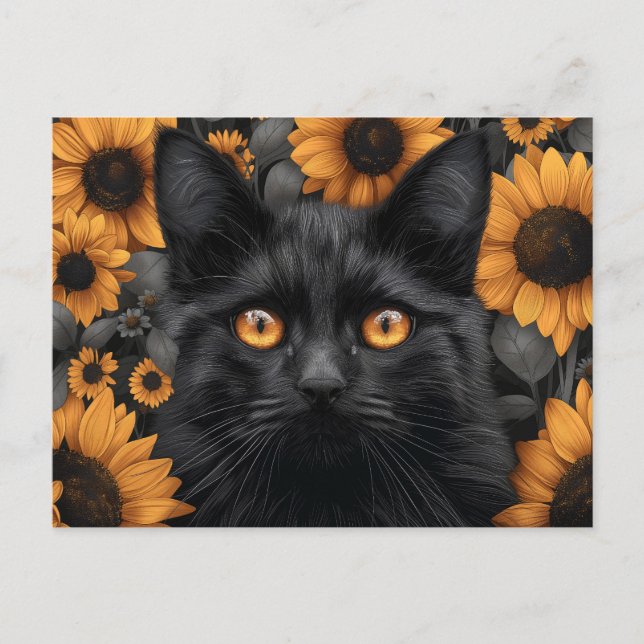Black Cat in Sunflower Field Postcard (Front)