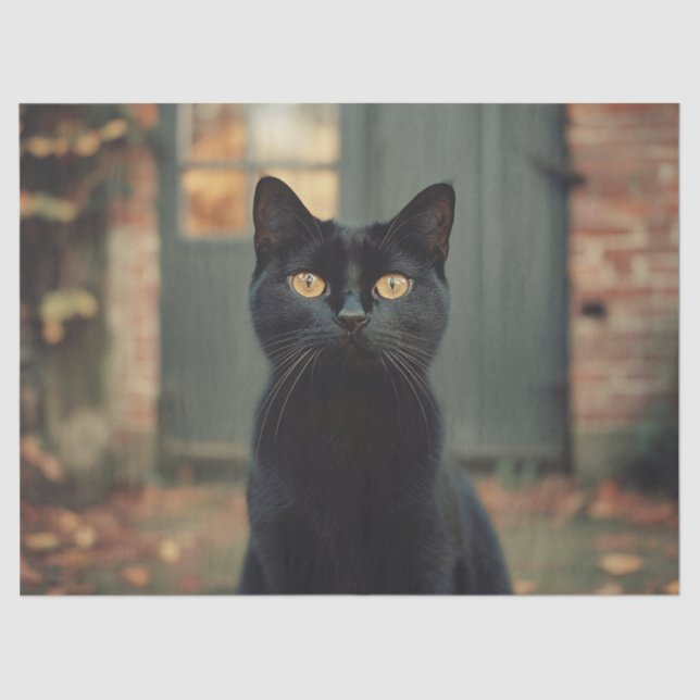 Black Cat in the Autumn Scenic Decoupage Tissue Paper (Front)