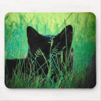Black cat in the grass