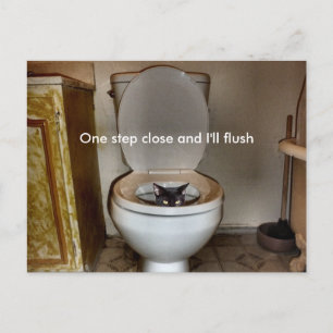 Black Cat In Toilet Postcard