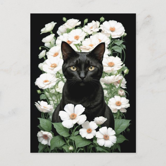black cat in white flowers (update) Postcard (Front)