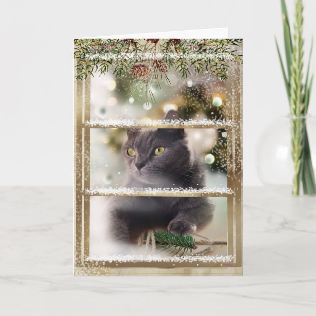 Black Cat Inside a Christmas Window Holiday Card (Front)