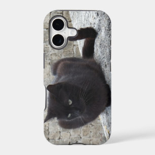Black Cat iPhone 5 case-mate