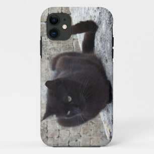 Black Cat iPhone 5 case-mate Case