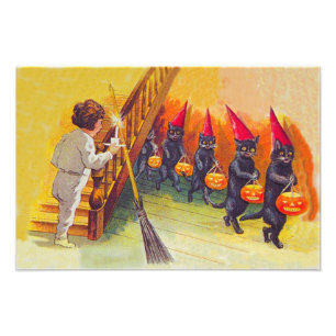 Black Cat Jack O Lanter Pumpkin Broom Photo Print