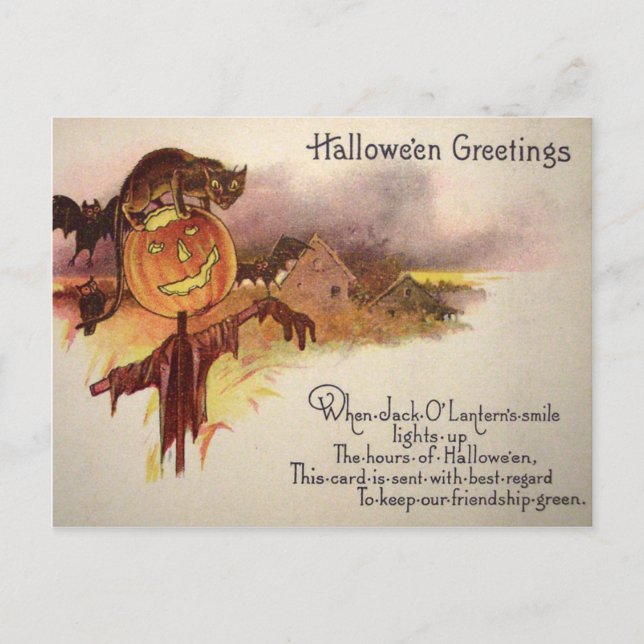 Black Cat Jack O' Lantern Pumpkin Bat Owl Postcard (Front)