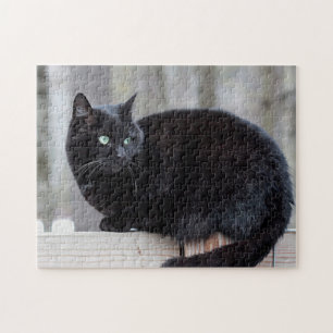 Black cat jigsaw puzzle