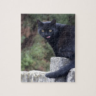Black Cat Jigsaw Puzzle