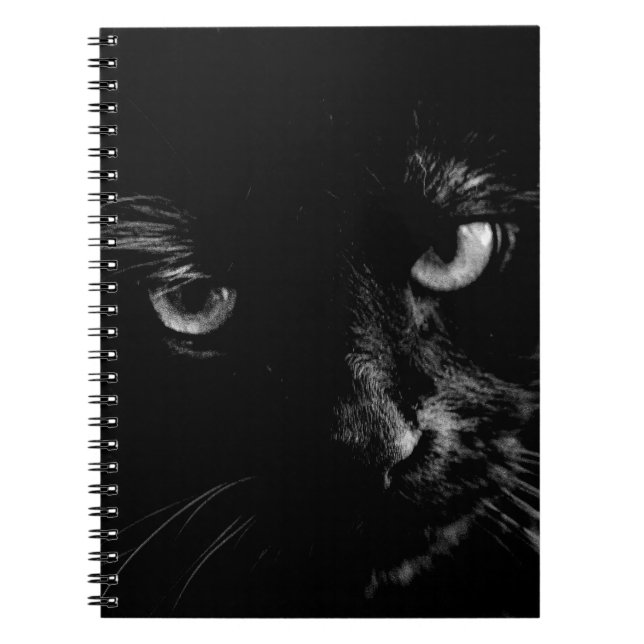 Black Cat Journal (Front)
