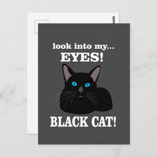 Black Cat Kitty Animal Lover Black Cat Postcard (Front/Back)