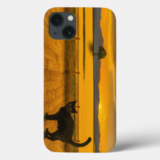 Black Cat Landscape iPhone 13 Case