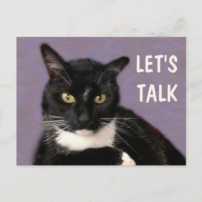 Black Cat Let's Talk Postcard (Front)