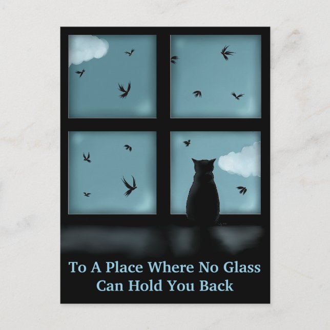 Black Cat Looking Out Window At Heaven Postcard (Front)