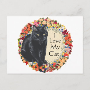 Black Cat Love Postcard