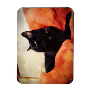Black Cat Magnet