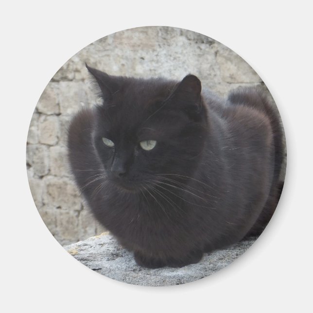 Black Cat magnet (Front)