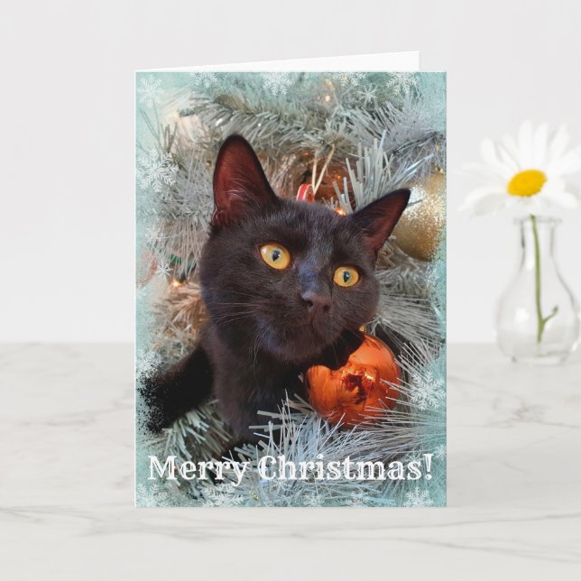 Black Cat Merry Christmas Card (Small Plant)