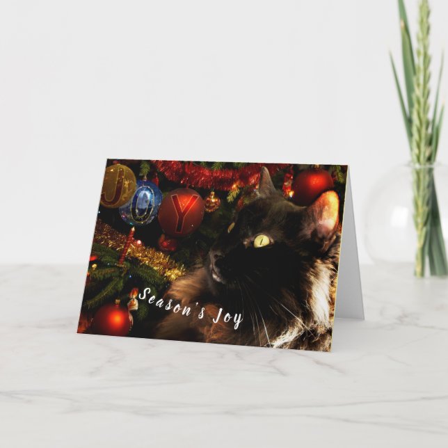 Black Cat Merry Christmas Holiday Card (Front)