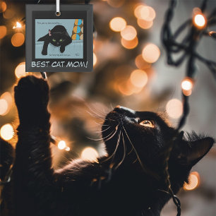 Black Cat  Mother's Day Glass Tree Decoration