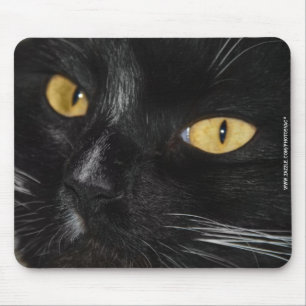 Black cat mouse pad