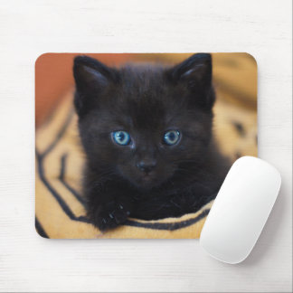 black cat mouse pad