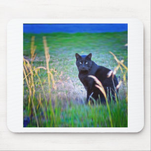 Black Cat Mouse Pad