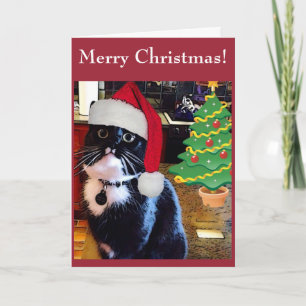 Black Cat "O Christmas Tree" Card