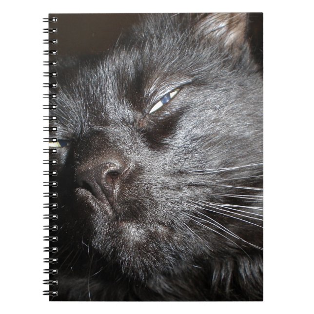 Black Cat - Oh Yeah Come and Get It Notebook (Front)